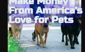 screenshot 2021.12.16 22 30 20 How Can I Make Money From America's Love for Pets?