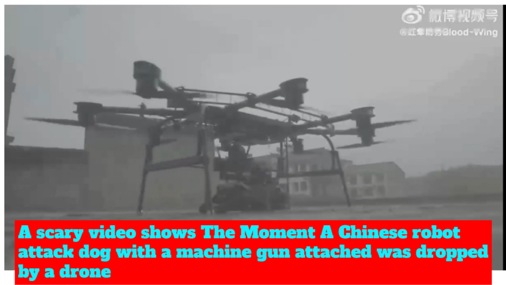 A scary video shows The Moment A Chinese robot attack dog with a machine gun attached was dropped by A scary video shows The Moment A Chinese robot attack dog with a machine gun attached was dropped by a drone