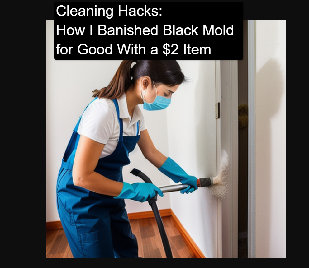 Cleaning Hacks How I Banished Black Mold for Good With a 2 Item Cleaning Hacks: How I Banished Black Mold for Good With a $2 Item