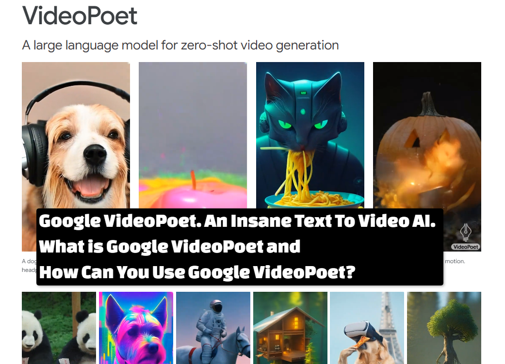 VideoPoet Google Research Google VideoPoet. An Insane Text To Video AI. What is Google VideoPoet and How Can You Use Google VideoPoet?