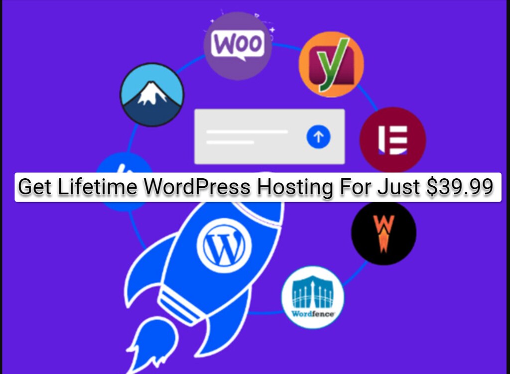 54111368438 08bbc6a1b3 b Lifetime WordPress Hosting: A Single Payment of $39.99